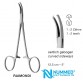 Raimondi Forceps,1X2 Teeth,12.5 cm